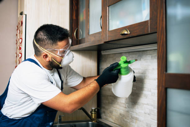 Best Affordable Pest Control Services  in Exton, PA