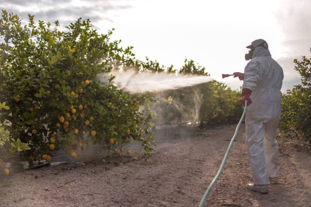Best Commercial Pest Control Services  in Exton, PA