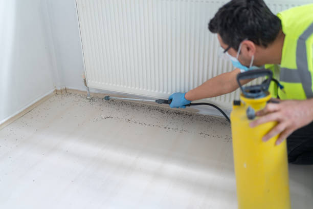 Best Exterminator Services  in Exton, PA