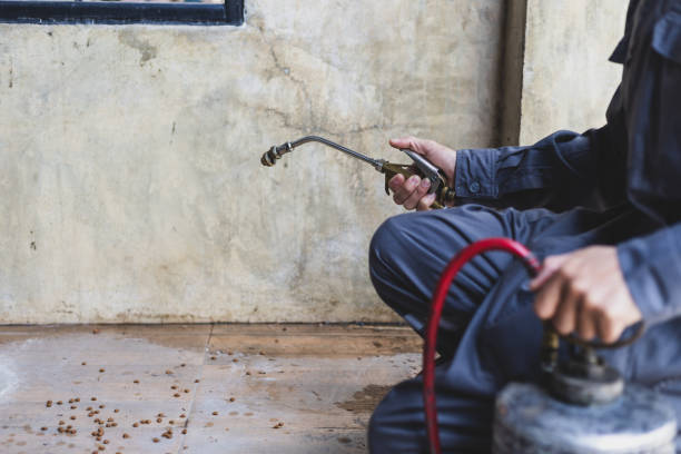 Best Emergency Pest Control  in Exton, PA